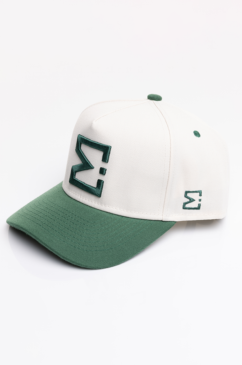 SANDSTONE / HIGHLANDS SNAPBACK